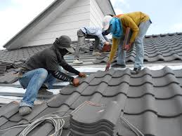 Best Asphalt Shingle Roofing  in Wills Point, TX